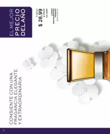 Catálogo L'bel Página 18