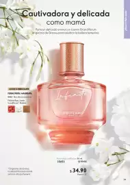 Catálogo Oriflame Página 29
