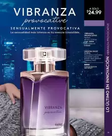 Catálogo Ésika Página 29