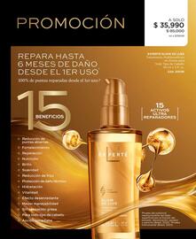 Catálogo L'bel Página 100