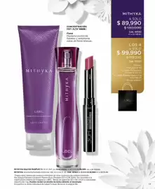 Catálogo L'bel Página 17