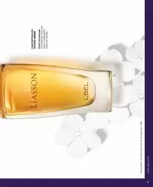 Catálogo L'bel Página 21