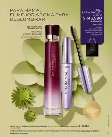 Catálogo L'bel Página 23