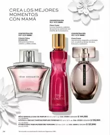 Catálogo L'bel Página 24