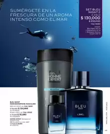 Catálogo L'bel Página 33