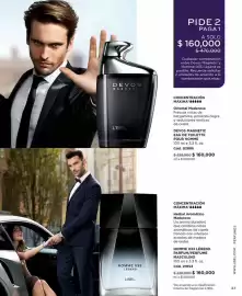 Catálogo L'bel Página 37