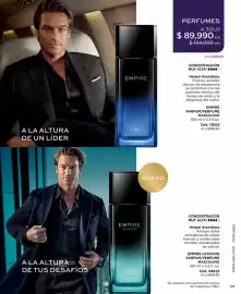 Catálogo L'bel Página 39