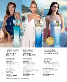 Catálogo L'bel Página 6