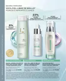 Catálogo L'bel Página 62