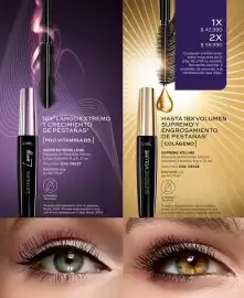 Catálogo L'bel Página 83