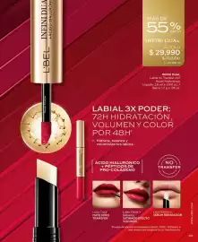 Catálogo L'bel Página 99