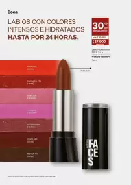 Catálogo Natura Página 102