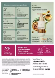 Catálogo Natura Página 165