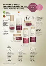 Catálogo Natura Página 24