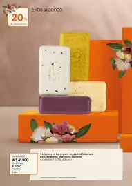 Catálogo Natura Página 36