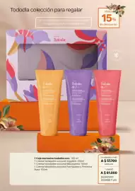 Catálogo Natura Página 41