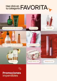 Catálogo Natura Página 5