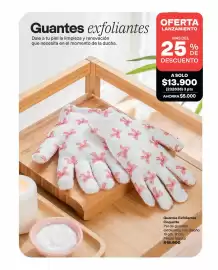 Catálogo Avon Página 167