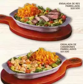 Catálogo Leños & Carbón Página 8