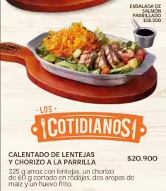 Catálogo Leños & Carbón Página 9