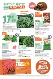 Catalogue Jardiland page 6
