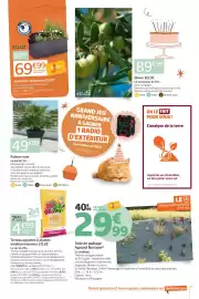 Catalogue Jardiland page 7