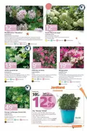 Catalogue Jardiland page 9