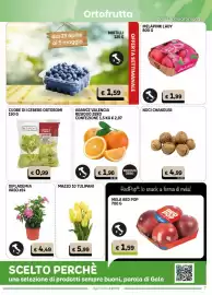 Volantino Gala Supermercati Pagina 7