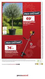 Catalogue Bricomarché page 10