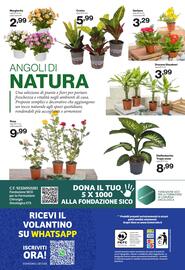 Volantino In'S Mercato Pagina 24