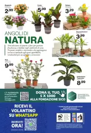 Volantino In'S Mercato Pagina 24