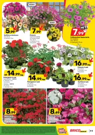 Bricomarche gazetka Strona 11