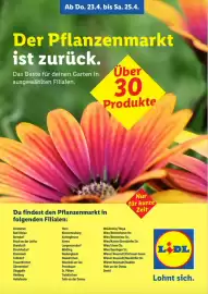 Lidl Flugblatt Seite 1
