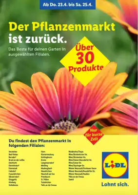 Lidl (gültig bis 25-04)