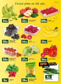 Terno leták týden 17 Strana 6