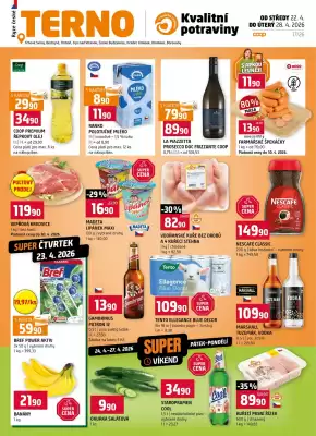 Terno leták