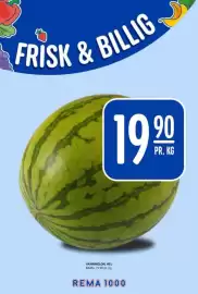 Rema 1000 kundeavis uke 17 Side 13