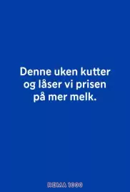 Rema 1000 kundeavis uke 17 Side 9