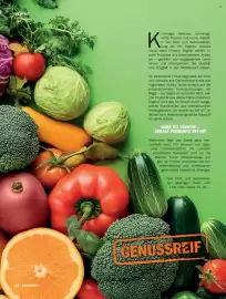 HIT Magazin Seite 12