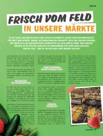 HIT Magazin Seite 13