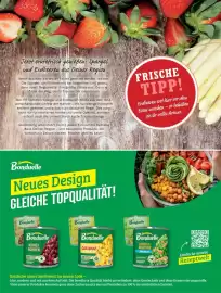 HIT Magazin Seite 17