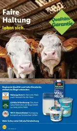 Lidl Prospekt woche 18 Seite 20