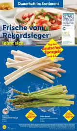 Lidl Prospekt woche 19 Seite 10