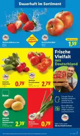 Lidl Prospekt woche 19 Seite 11