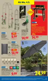 Lidl Prospekt woche 19 Seite 13
