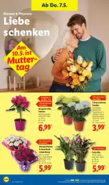 Lidl Prospekt woche 19 Seite 16