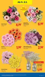 Lidl Prospekt woche 19 Seite 17