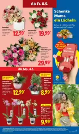 Lidl Prospekt woche 19 Seite 19