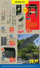 Lidl Prospekt woche 19 Seite 41