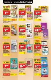 Biedronka gazetka tydzień 17 Strona 100